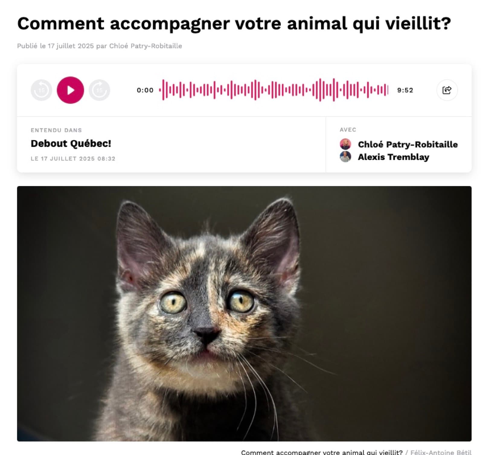 Article Cogeco — Comment accompagner votre animal qui vieillit?